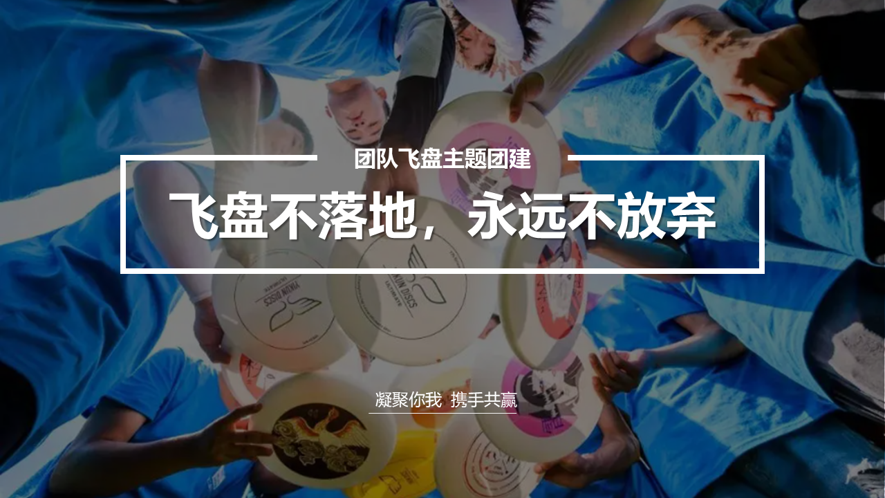 团队飞盘